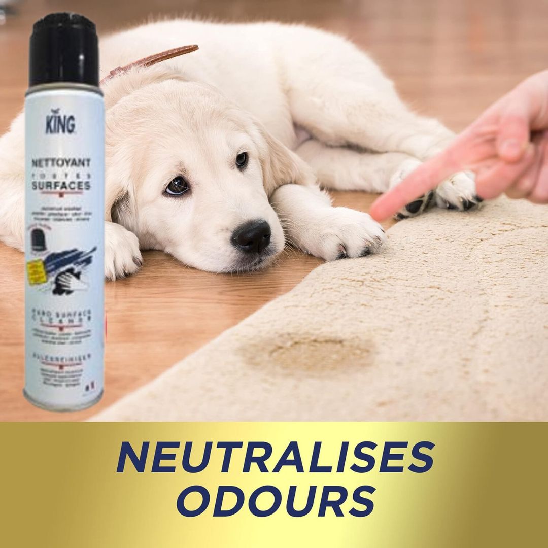 Nettoyant moussant pour moquette et tapisserie 400ml